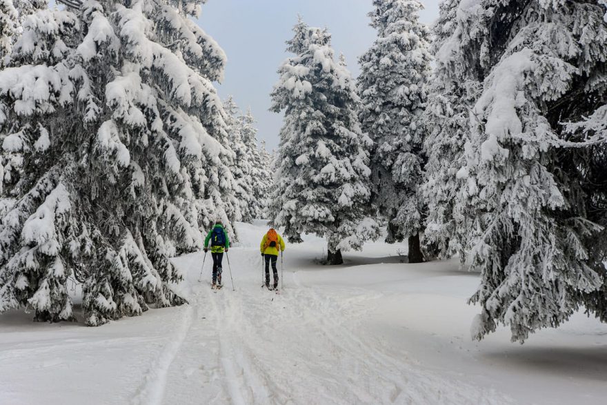 V Jeseníkách na skialpech na Severní stezce Via Czechia