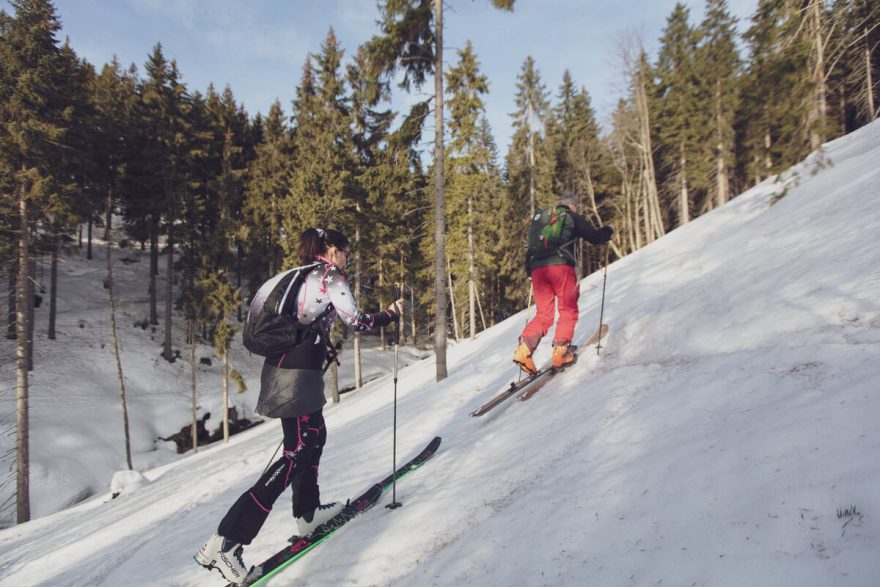 Údolí Klínového potoka, Krkonoše