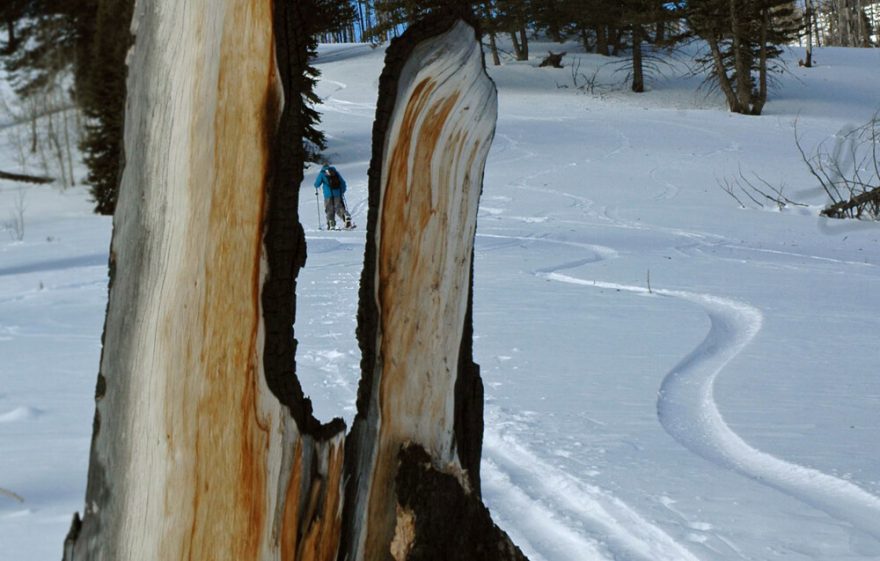 Při výstupu se na rozepnutém splitboardu pohybujete jako na běžných skialpových lyžích