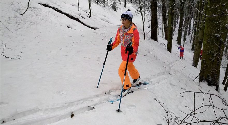 Lesem cestou necestou na Stolečný