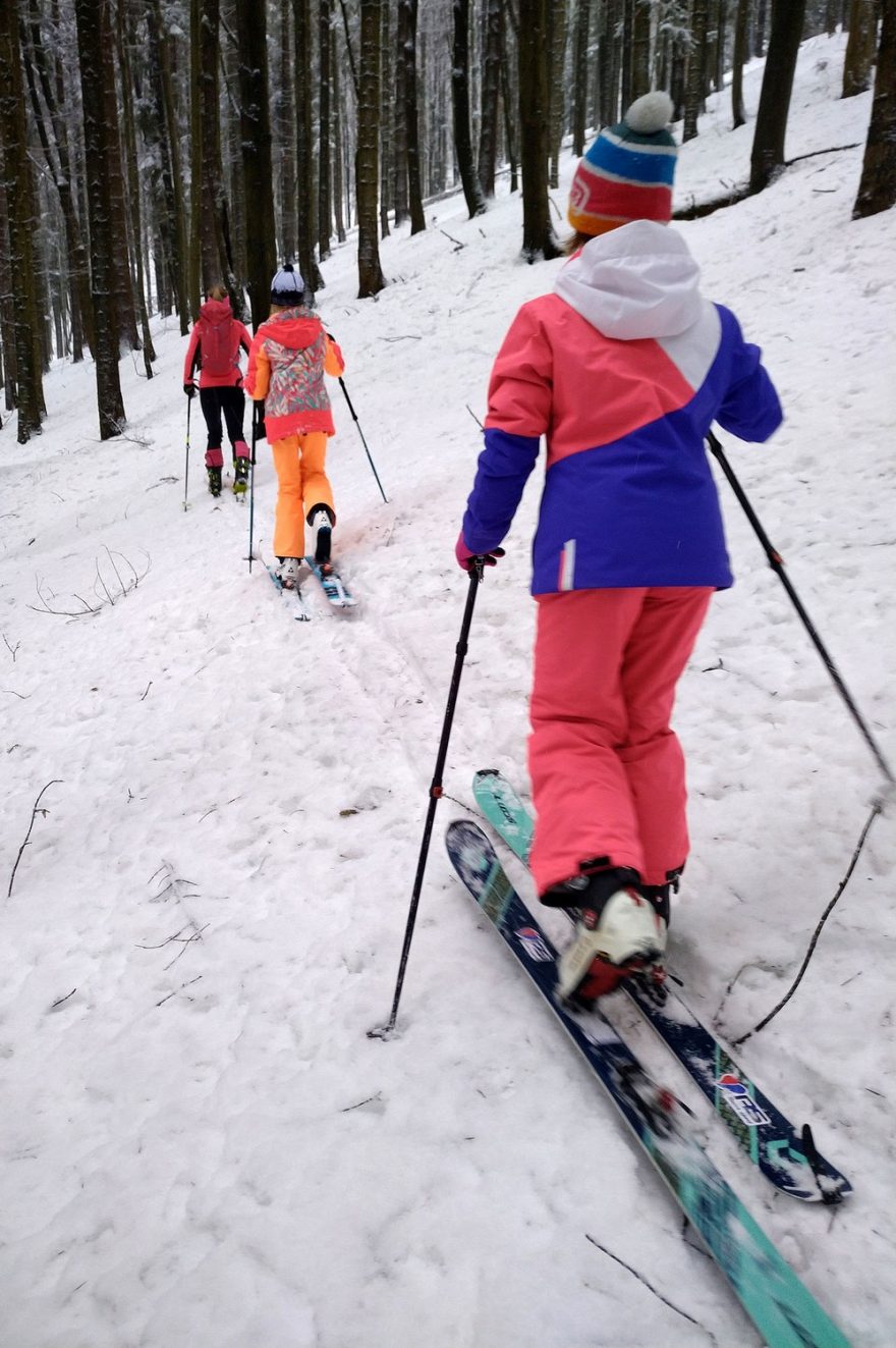 Šlapeme lesem vzhůru ke Stolečnému