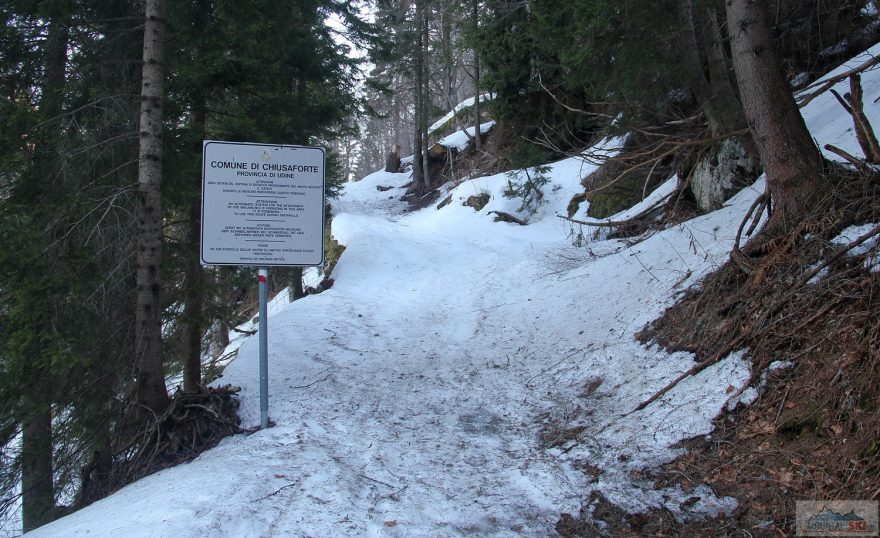 Úovdní lesní úsek nad Sella Nevea