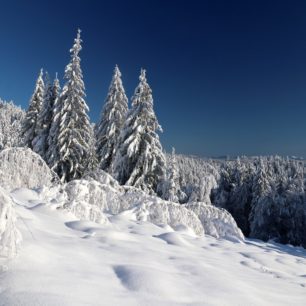 Počasí i sníh vyšly dokonale