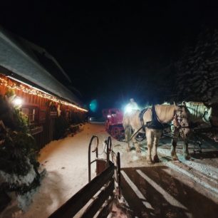 Jízda na saních po části trasy Adventní stezky podtrhne celý zážitek.