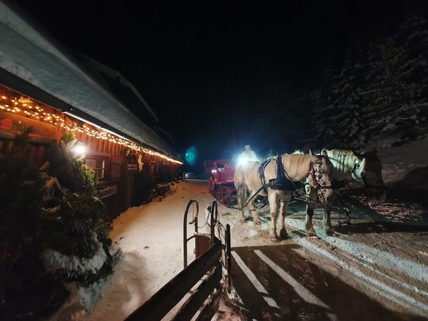 Jízda na saních po části trasy Adventní stezky podtrhne celý zážitek.