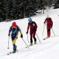 Tip na zimu? Noc tuleních pásů v Krkonoších nebo na Slovensku