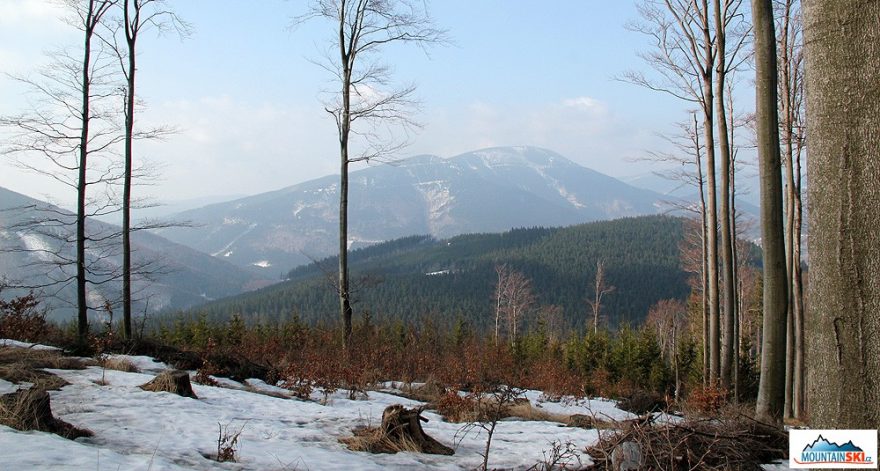 Mezistromový výhled na druhý nejvyšší beskydský vrchol – 1276 m vysoký Smrk 