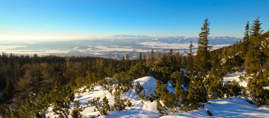 Nad lesem a první výhledy směr Nízké Tatry