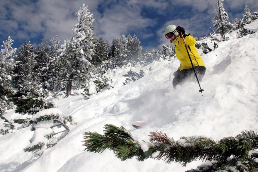 Freeride v kosodřevině