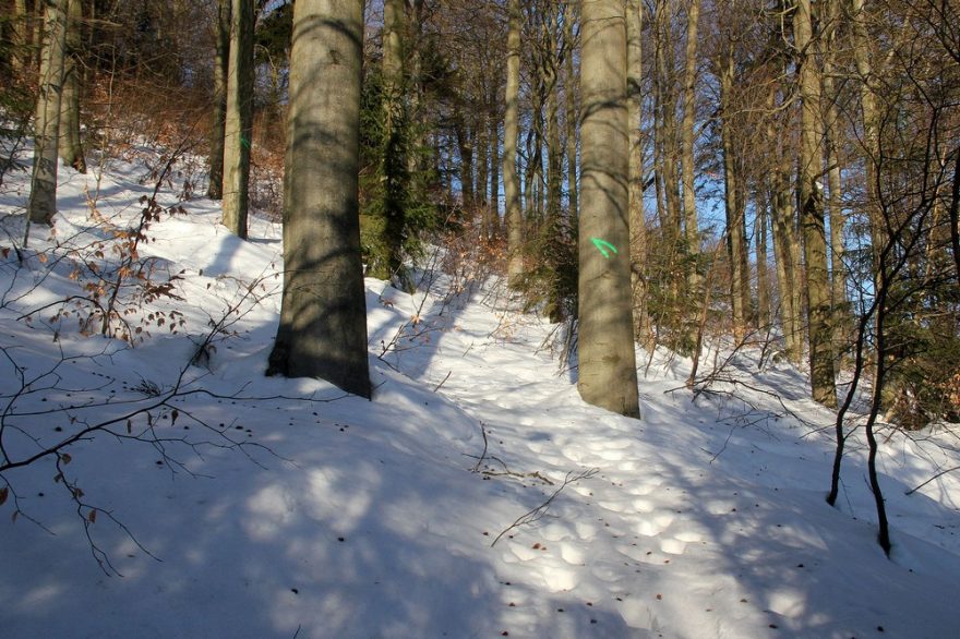 Část výstupové trasy Mikulovská rozšlapali pěšáci