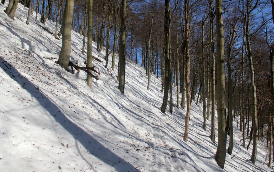 Svítí slunce, sněhu dostatek a do toho krásný výstup