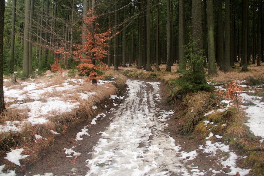 První úsek žluté turistické značky byl po oblevě bez sněhu