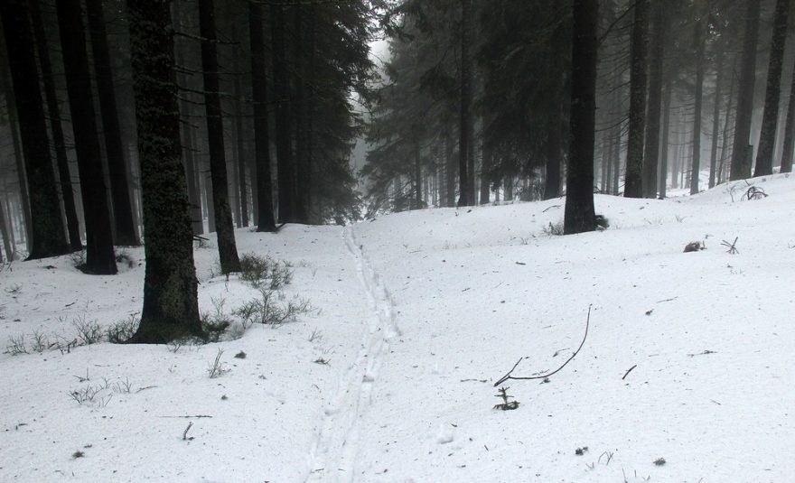 Z odbočky ze žluté se stoupá na Temnou - pohled zpět