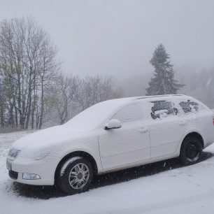 Dopoledne se trochu rozsněžilo