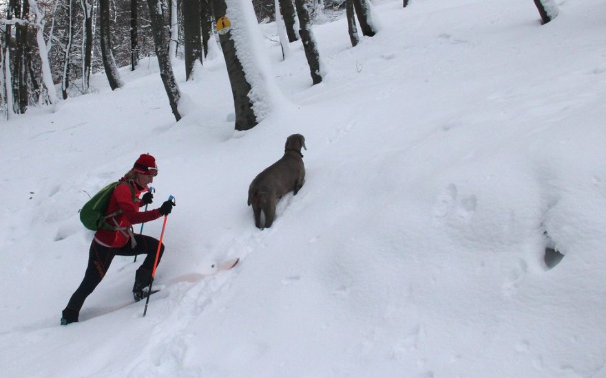 Strměji do svahu nad vrstevnicovou cestou