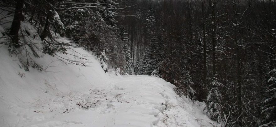 Rozrytá vrstevnicová cesta na Lysé Hoře