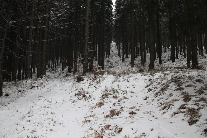 V prosinci bylo sněhu trochu méně nad Vlčím sedlem