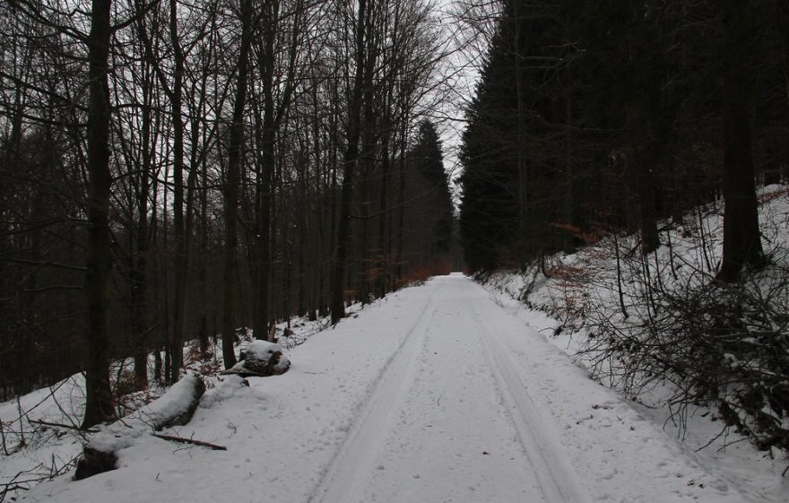 Projetá silnice oborou Loučná