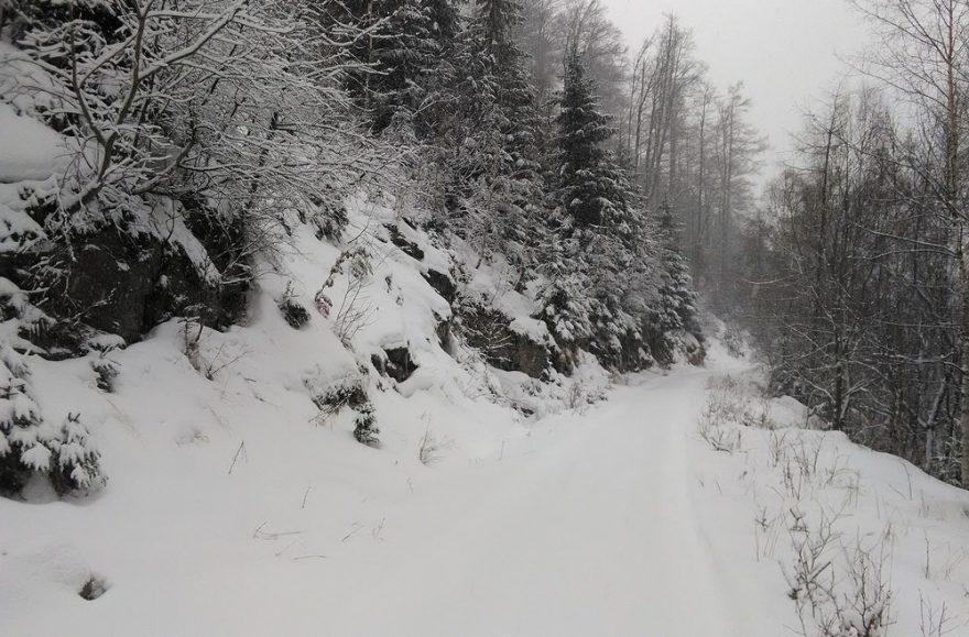 Svahy nad i pod cyklostezkou jsou pěkně strmé