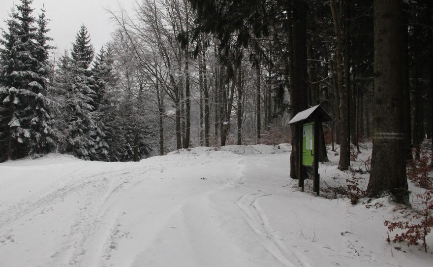 Vlčí sedlo (790 m)