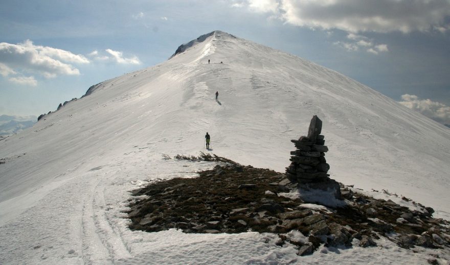 Hřebenovka Govedarniku