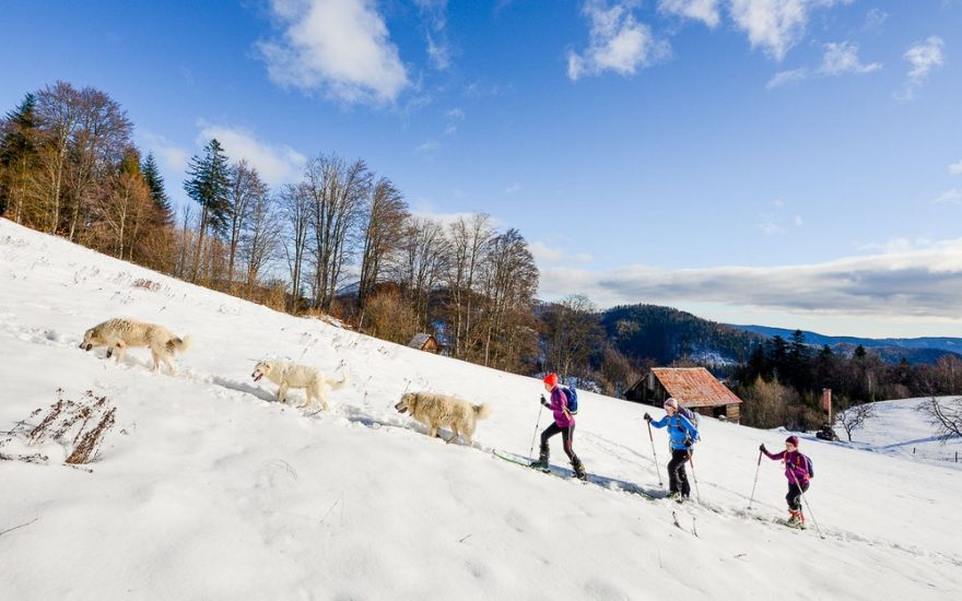 Tohle zažijete jenom na skialpu! Výstup na Fabovu holu v NP Muránska planina, Slovensko