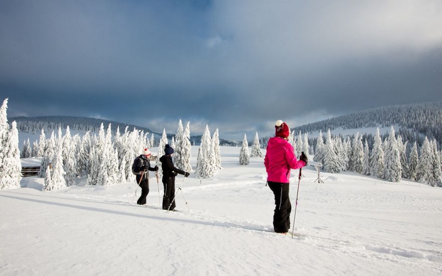 Na skialpech zažijete dobrodružství. Velká Fatra, výstup na vrchol Skalná Alpa