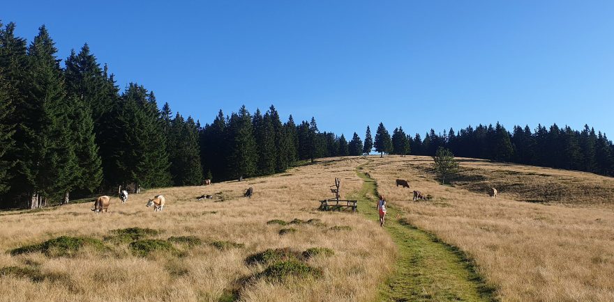 Hřeben k vrcholu Smrekovec